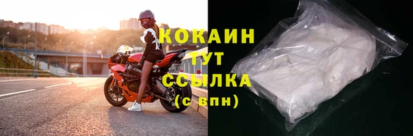 ПСИЛОЦИБИНОВЫЕ ГРИБЫ Бородино