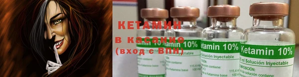 крисы Бронницы